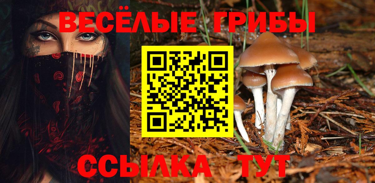 Псилоцибиновые грибы MAGIC MUSHROOMS  Вход с VPN  Шадринск 