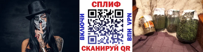 купить наркоту  Шадринск  блэк спрут зеркало  Шишки марихуана планчик 